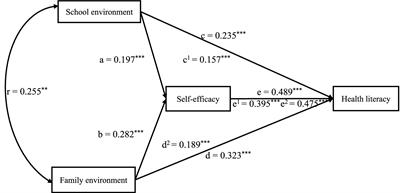 A study on the effect of school and family environments and self-efficacy on health literacy of college students